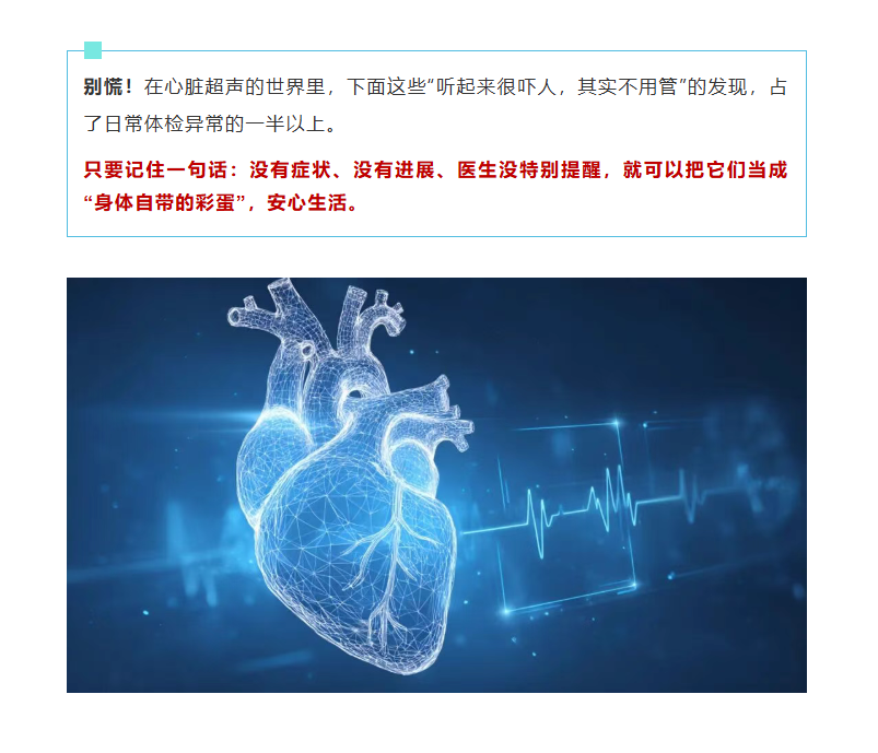 a5060e94dce045cf8870cb4540259c24.png